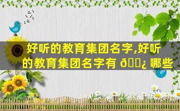 好听的教育集团名字,好听的教育集团名字有 🌿 哪些